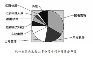 国内软件与信息技术服务业上市公司专利布局与创新趋势分析