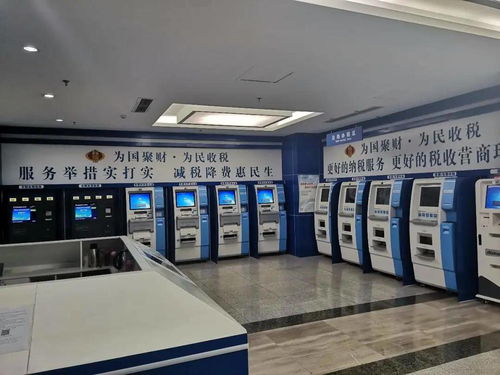 以数字转型为引擎，智能升级为动力，融合创新为路径，推动政务服务与软件开发技术服务高质量发展